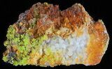 Pyromorphite Crystals on Quartz - China #63700-1